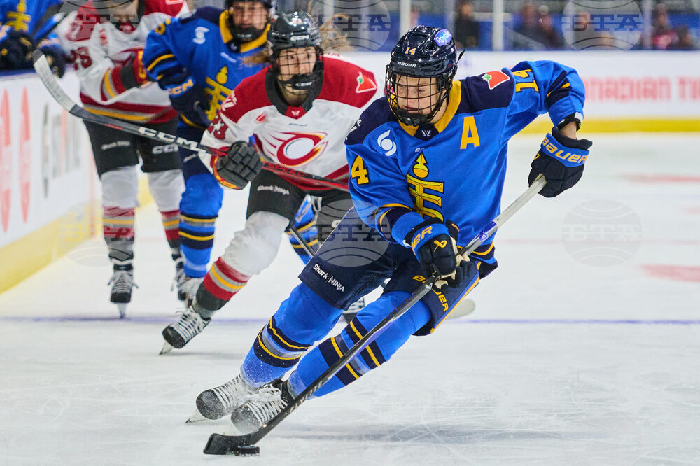 PWHL Charge Sceptres Hockey