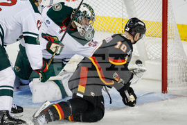 Wild Flames Hockey