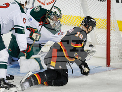 Wild Flames Hockey