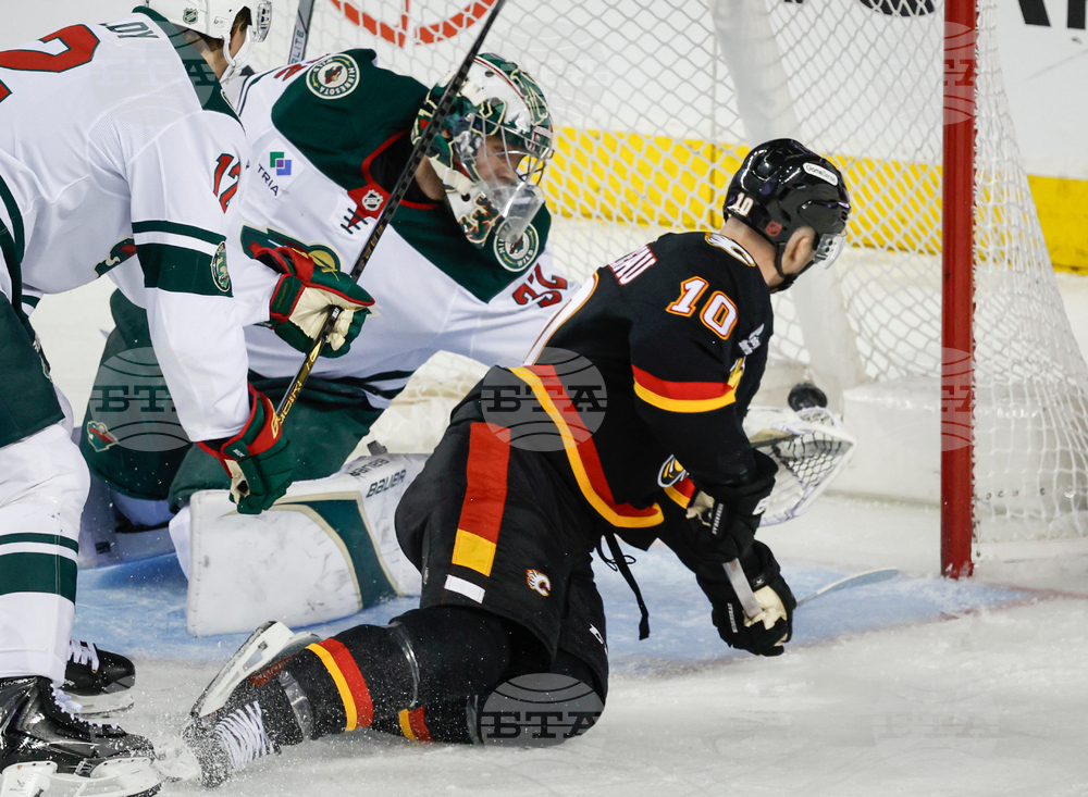 Wild Flames Hockey