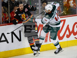 Wild Flames Hockey