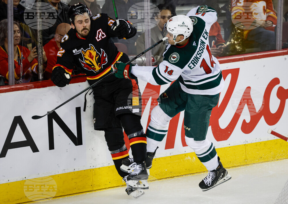 Wild Flames Hockey