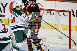 Wild Flames Hockey