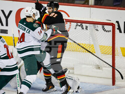 Wild Flames Hockey