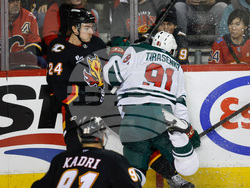 Wild Flames Hockey