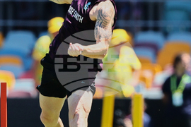 Australia England Cricket