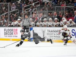 Blackhawks Kings Hockey