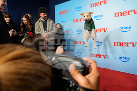 LA Special Screening of "Merv"