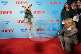 APTOPIX LA Special Screening of "Merv"