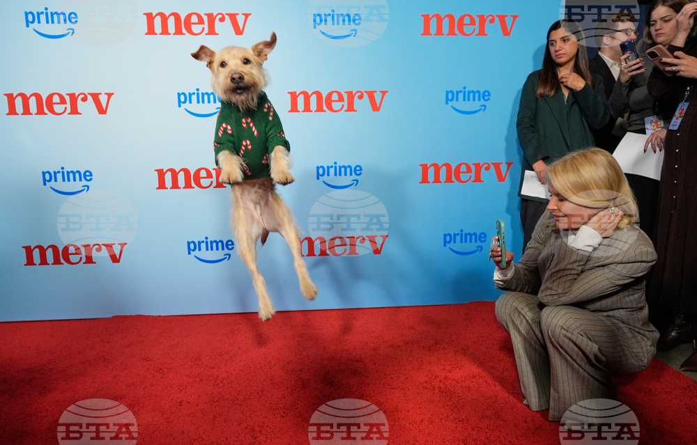 APTOPIX LA Special Screening of "Merv"