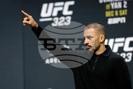 UFC 323 Mixed Martial Arts