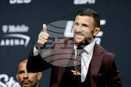 UFC 323 Mixed Martial Arts