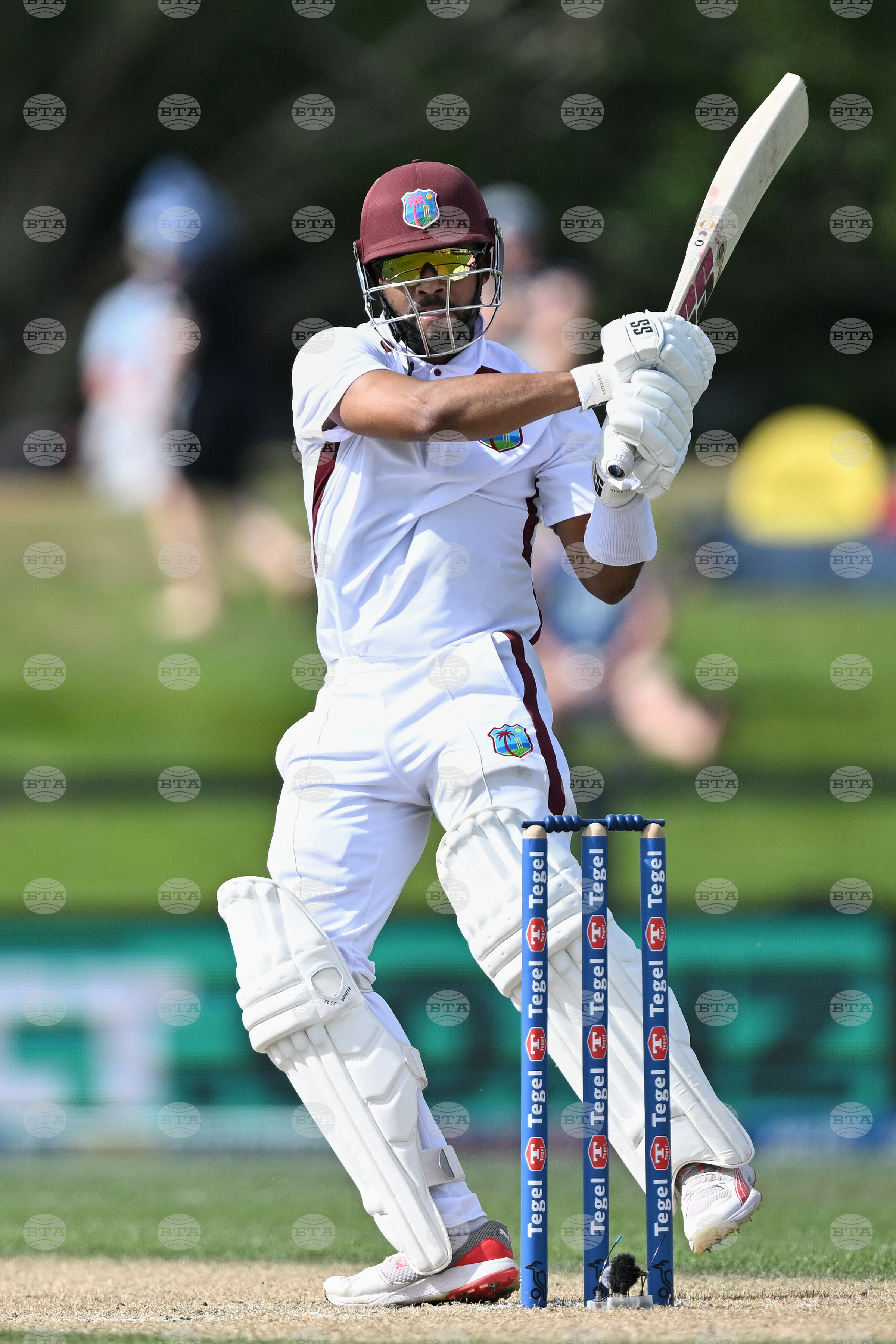 New Zealand West Indies Cricket