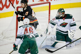 Wild Flames Hockey
