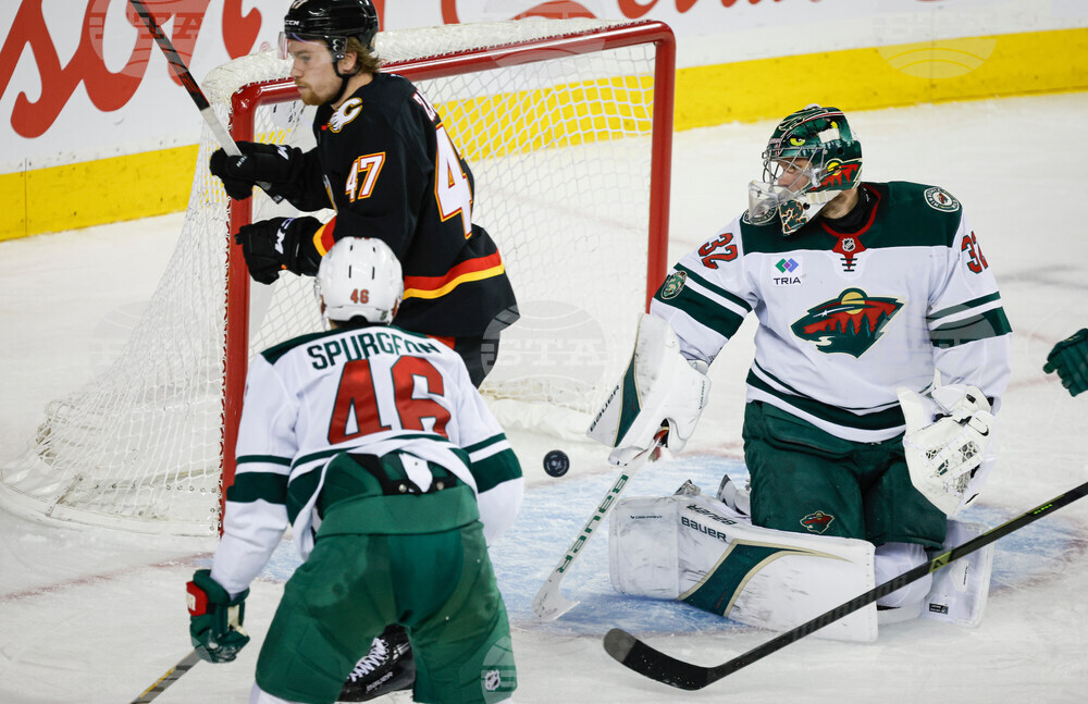 Wild Flames Hockey