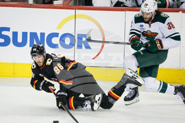 Wild Flames Hockey