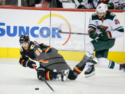Wild Flames Hockey