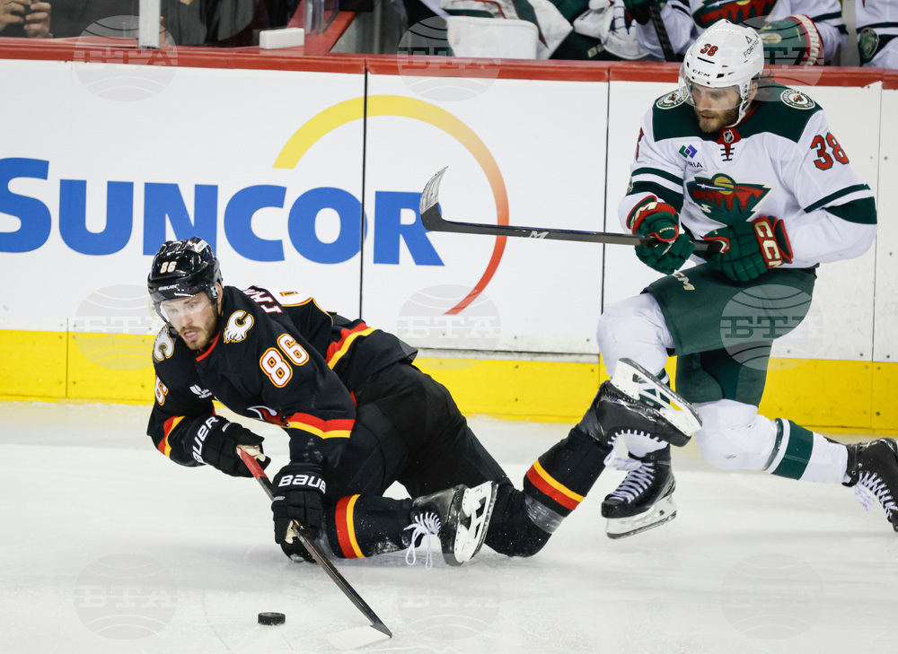 Wild Flames Hockey