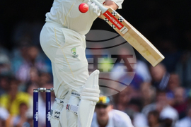 Australia England Cricket