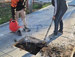 Снимка:  Община Асеновград