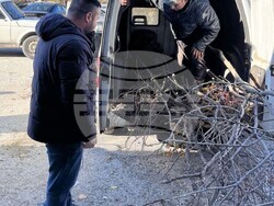 Снимка:  Община Асеновград