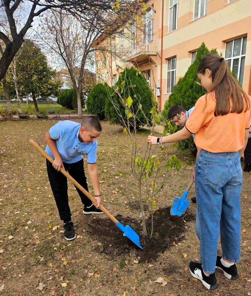 Повече от 500 бр. фиданки раздаде безвъзмездно община Асеновград