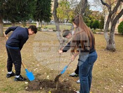 Снимка:  Община Асеновград