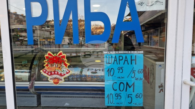 Шаранът остава най-търсената риба в Старозагорско в навечерието на Никулден