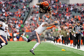 YE Sports Photo Gallery