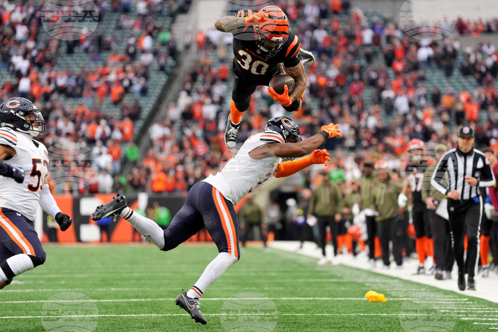 YE Sports Photo Gallery