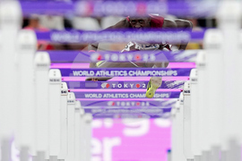 YE Sports Photo Gallery