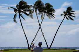 YE Sports Photo Gallery