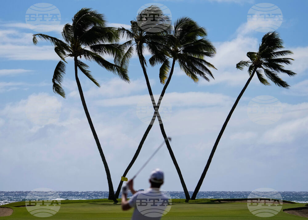 YE Sports Photo Gallery