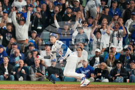 YE Sports Photo Gallery