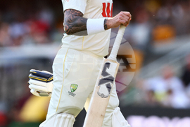 Australia England Cricket