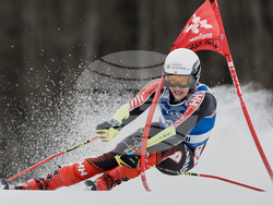 YE Sports Photo Gallery