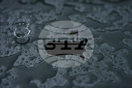 YE Sports Photo Gallery