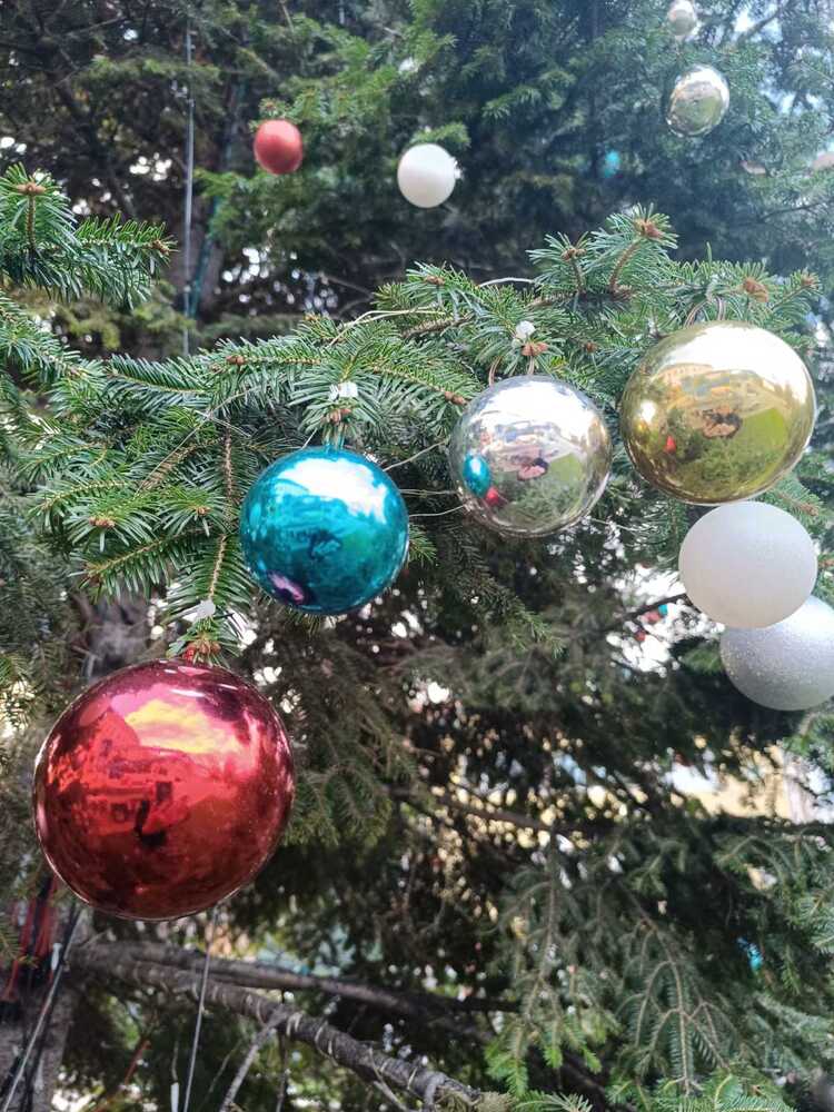 Светлините на елхата в Сливен грейват на 8 декември