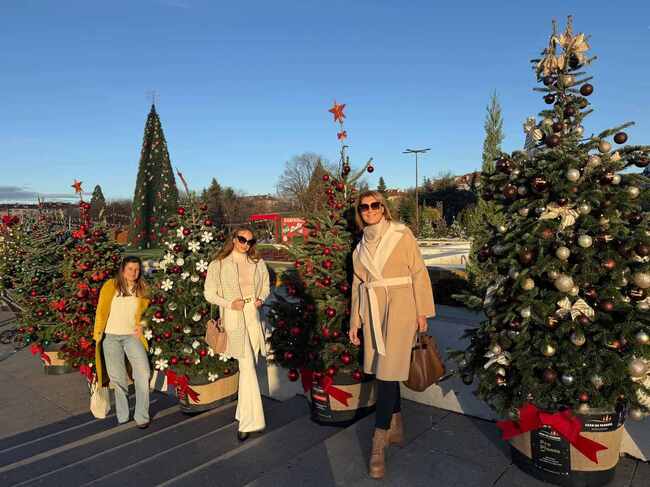 50 вълшебни елхи на таланта с 10 000 коледни играчки и километър светлинна украса блеснаха в София 