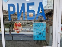 Стара Загора - риба - Никулден