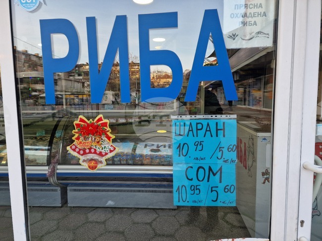 Стара Загора - риба - Никулден