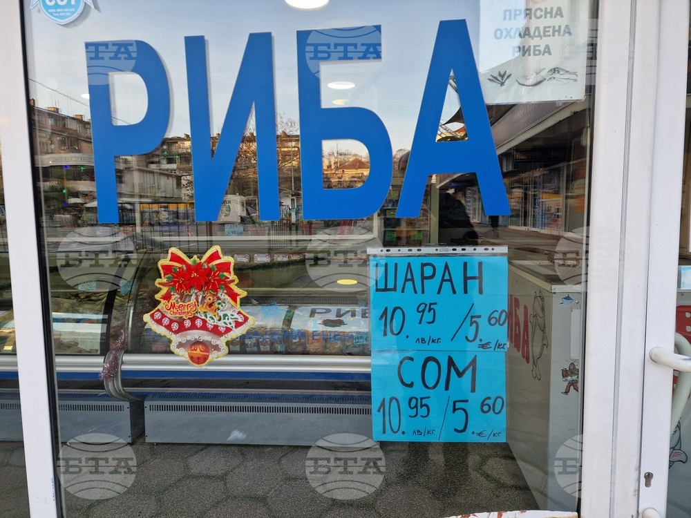 Стара Загора - риба - Никулден