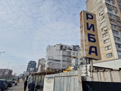 Стара Загора - риба - Никулден