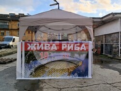 Стара Загора - риба - Никулден