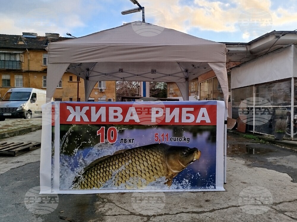 Стара Загора - риба - Никулден