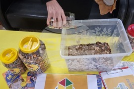 Хасково - акция "Жълти стотинки - деца помагат на деца"