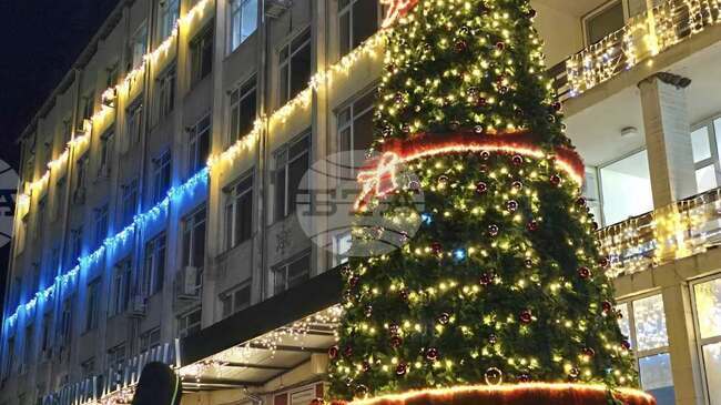 Коледната елха в град Летница ще грейне с изцяло нова украса