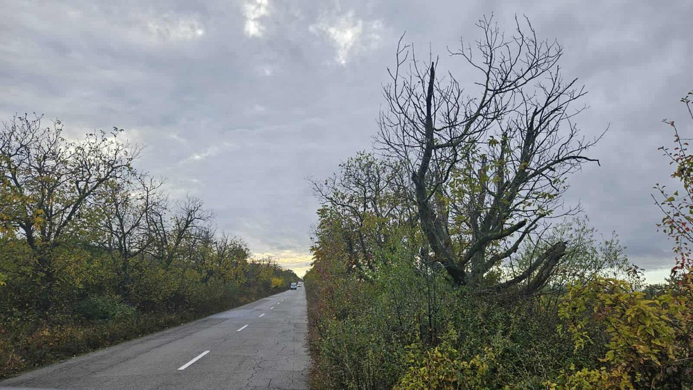 Почистени от клони и храсти са пътни участъци около села в община Сливен