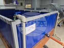 Панагюрище - шаран - Никулден