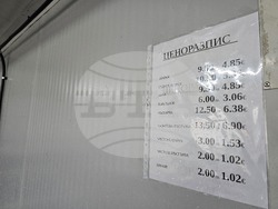 Панагюрище - шаран - Никулден